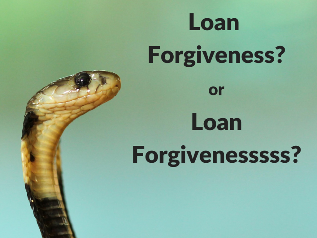 Avoiding the Bite of Student Loan Forgiveness Fraud