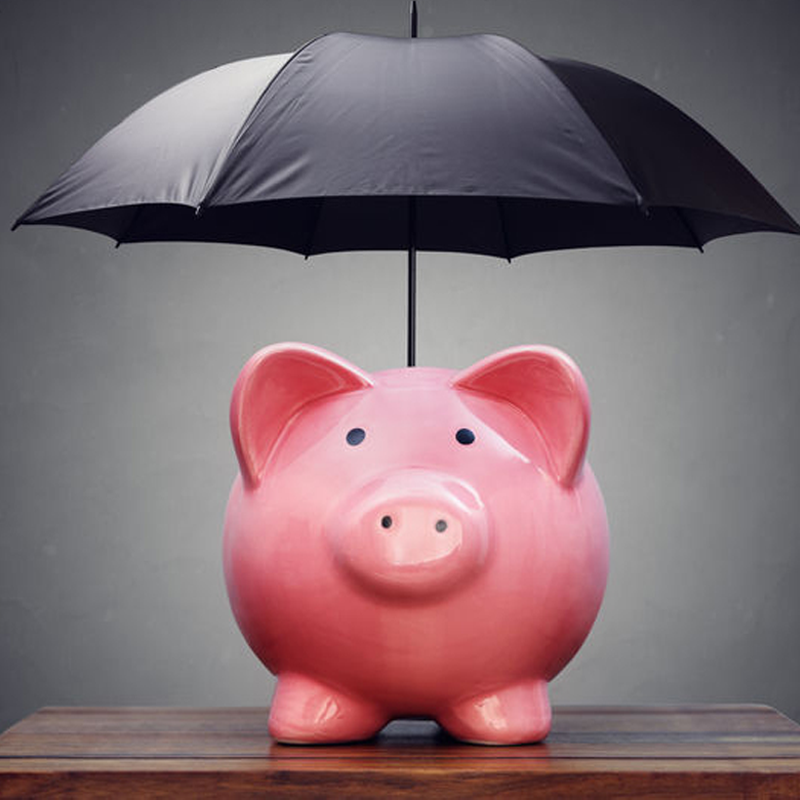 piggy bank